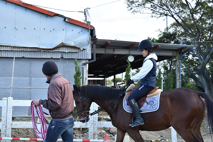 Mrc乗馬クラブ松山 松山市 乗馬 愛媛県 子ども向けスポーツ教室検索サイトkidsooきっずー